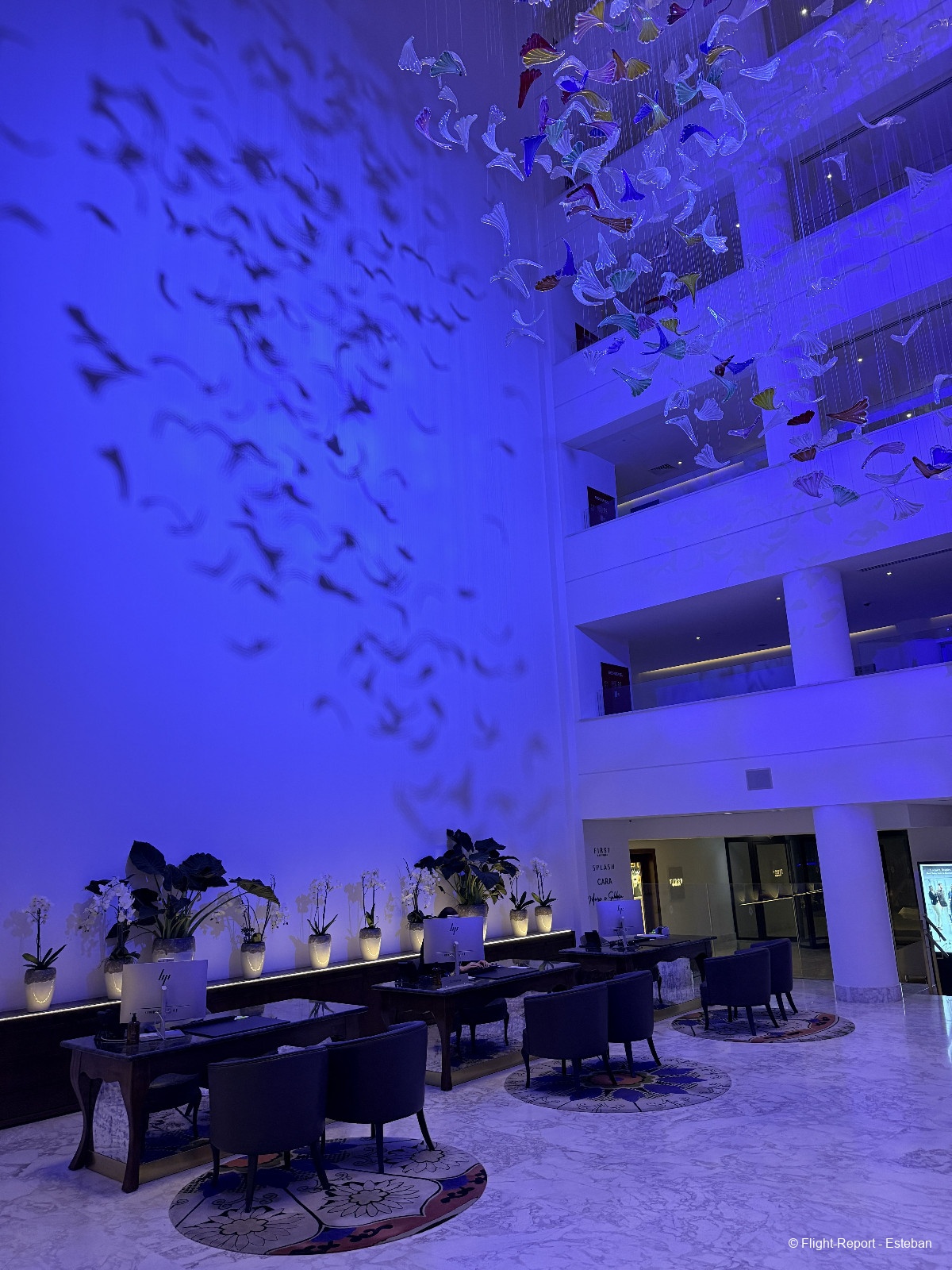 photo img_3541_resultat