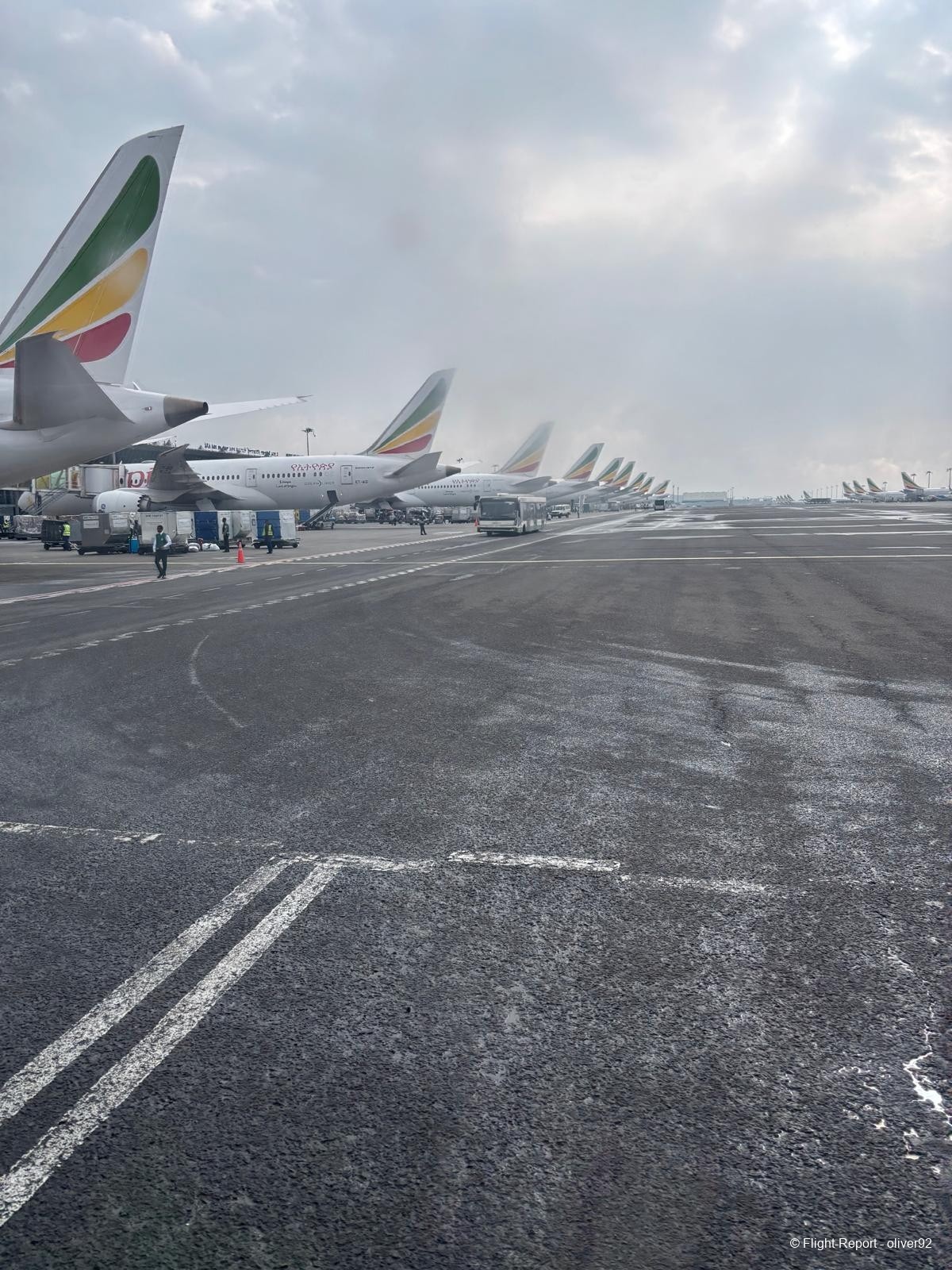 photo db218fbd-f659-4c8c-b061-d75437c72118-1