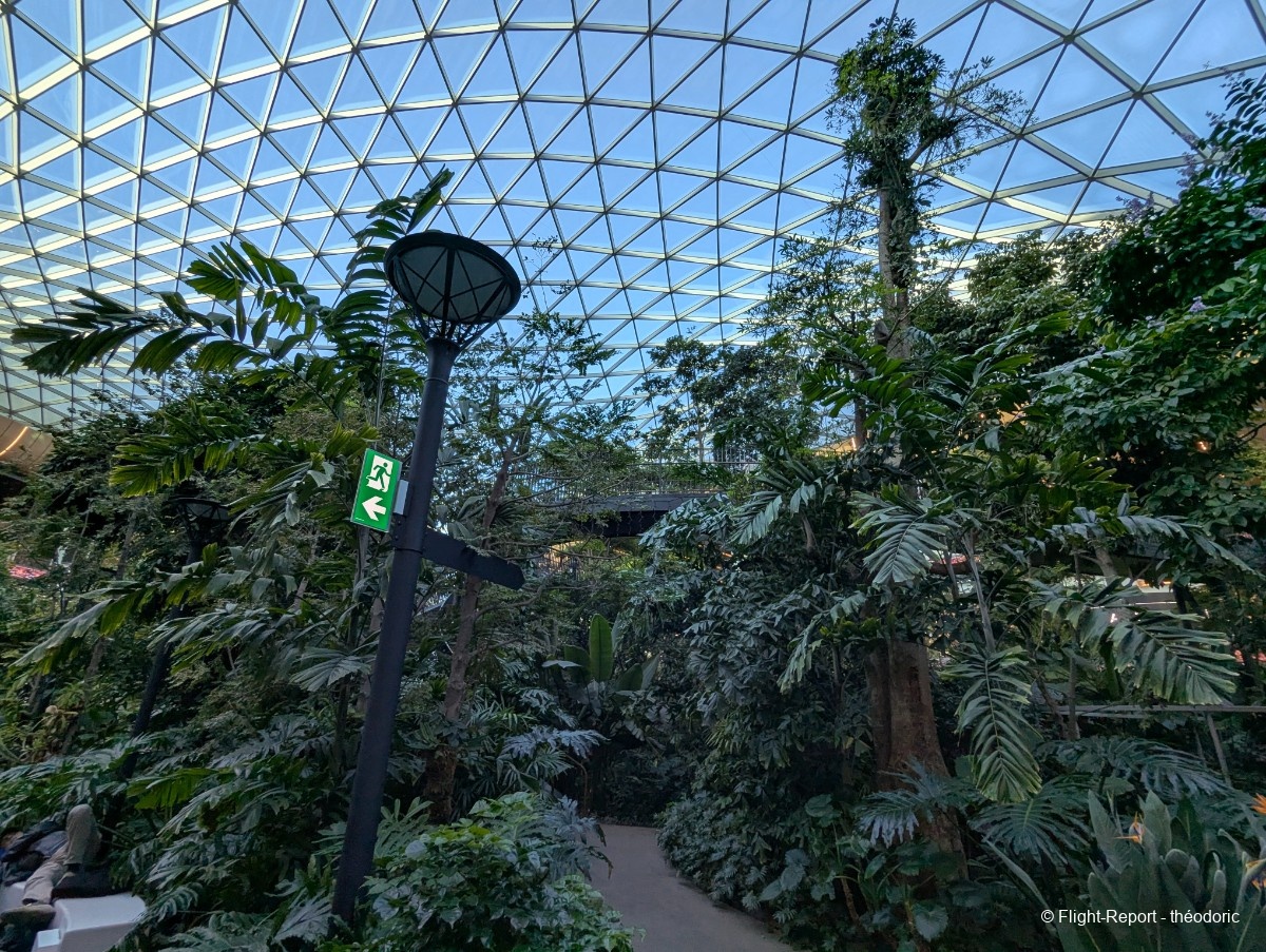 photo pxl_20260102_042105285-1