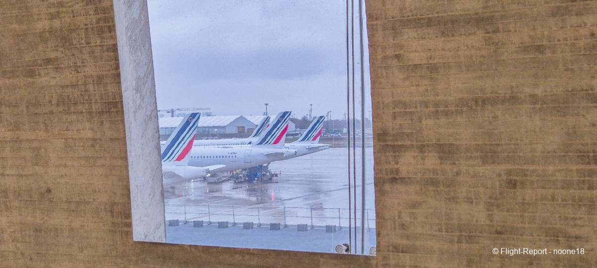 photo 20260109_092752-1