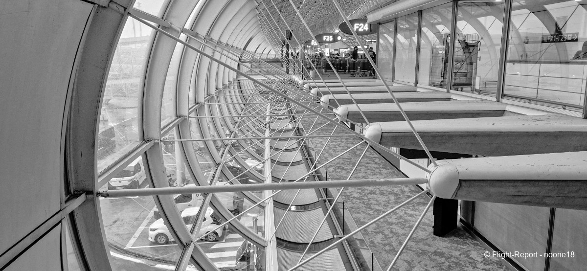 photo 20260109_093411-1