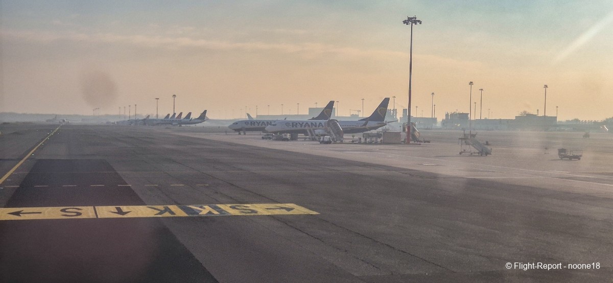 photo 20260109_150332-1