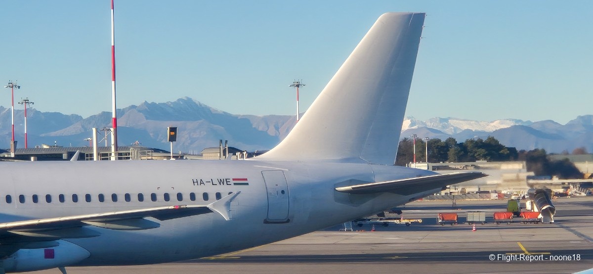 photo 20260111_155216-1