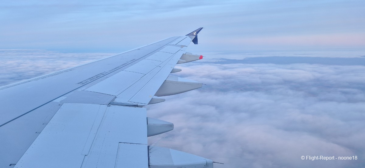 photo 20260111_170359-1