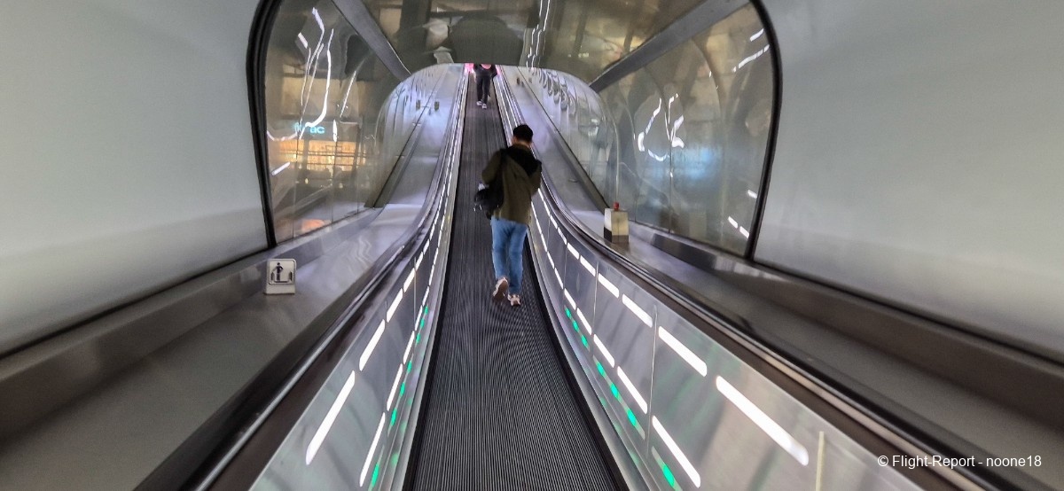 photo 20260322_062610-1