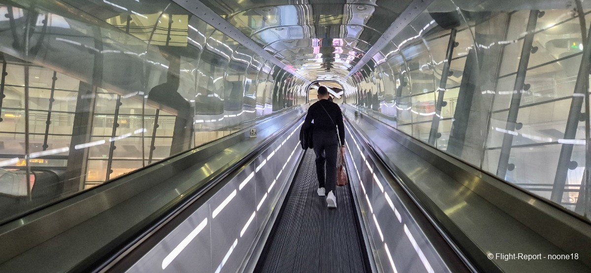 photo 20260322_062620-1