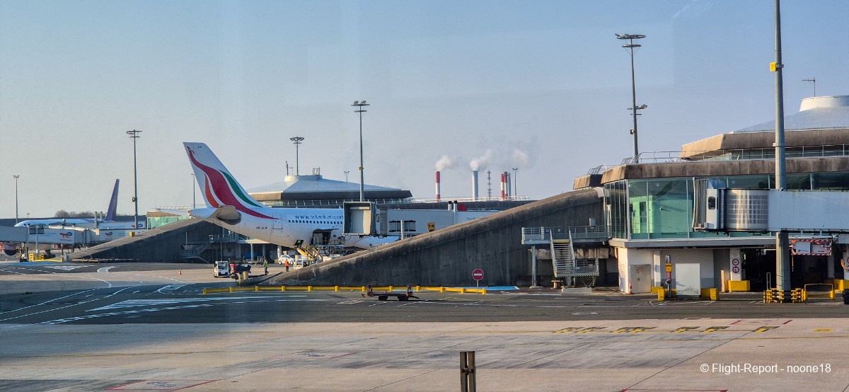 photo 20260322_082215-1