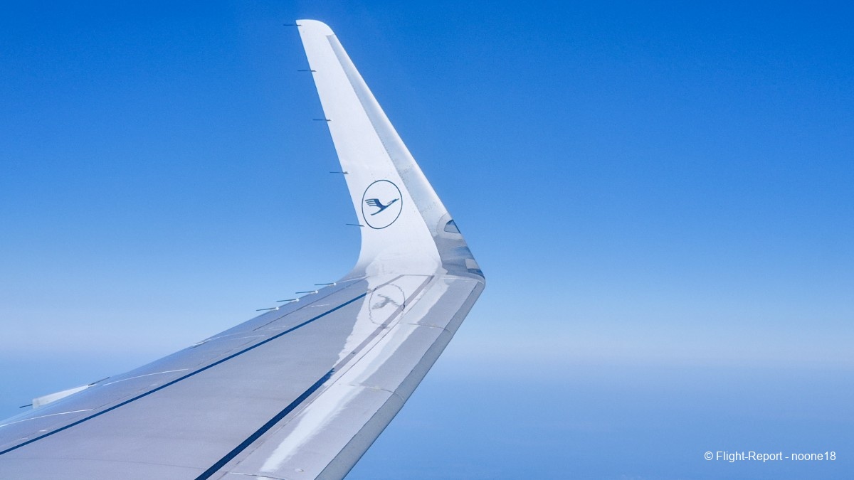 photo 20260322_092546-1