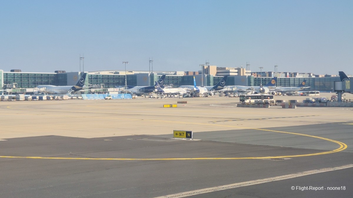 photo 20260322_095752-1