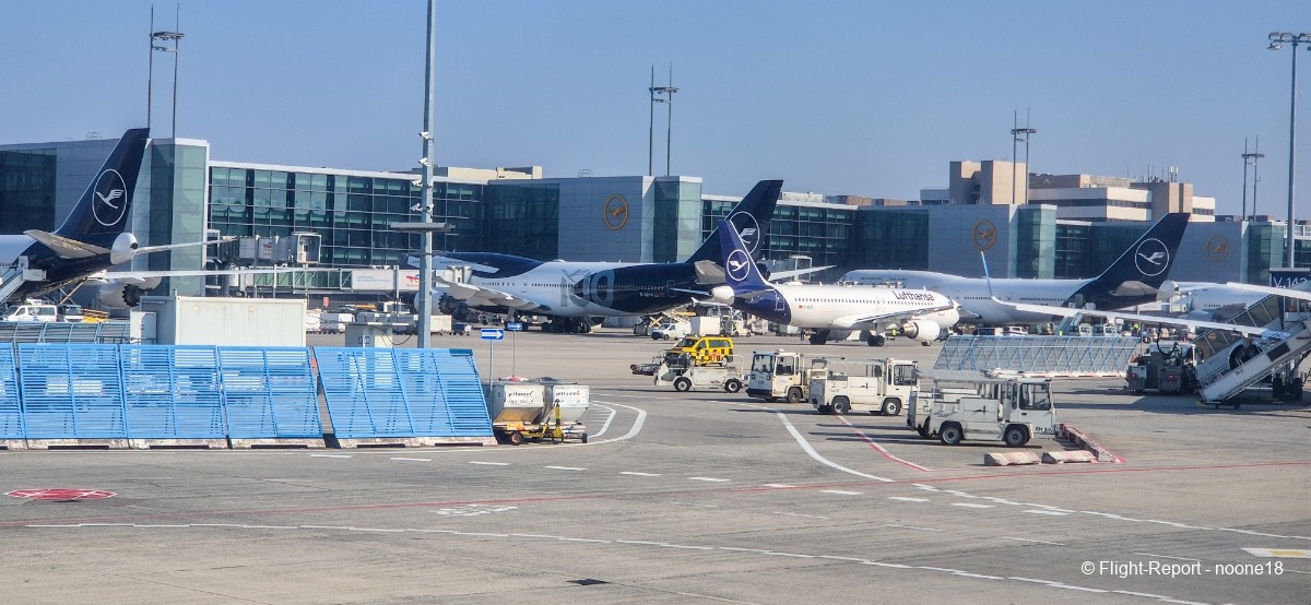 photo 20260322_095929-1