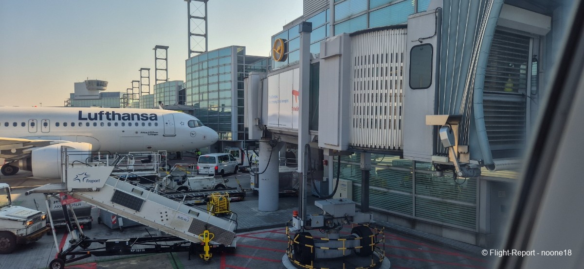 photo 20260322_100057-1