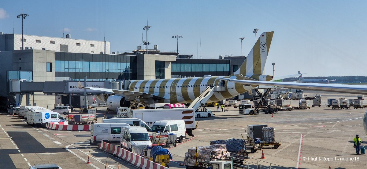 photo 20260322_110739-1