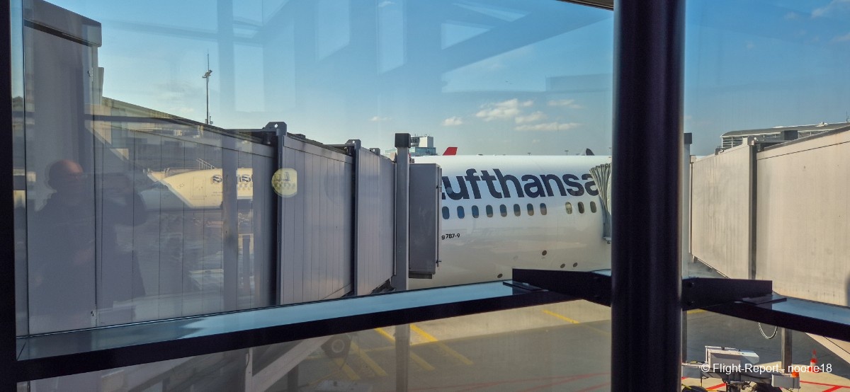 photo 20260322_111530-1