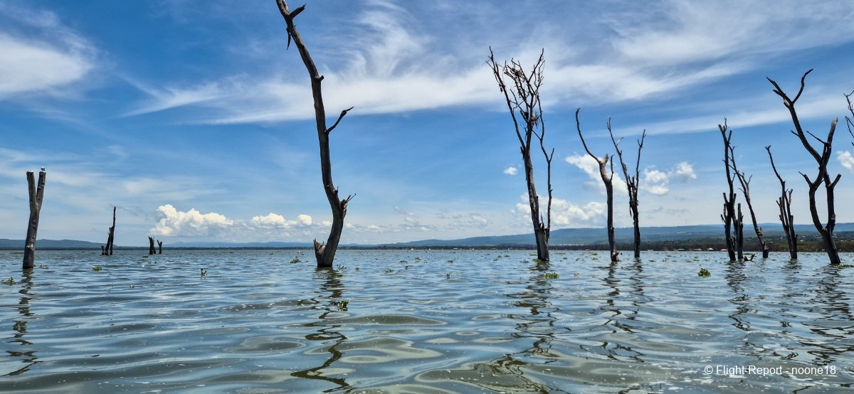 photo 20260325_115039-1