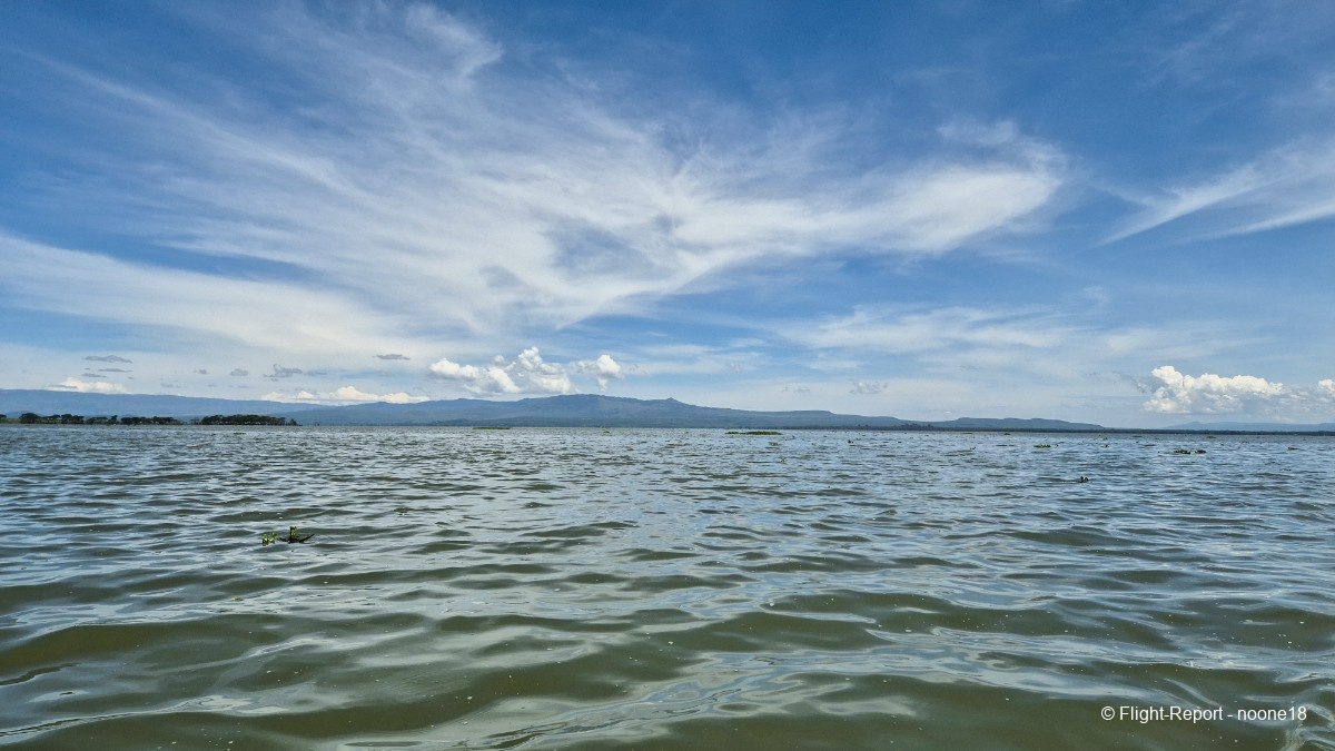 photo 20260325_115117-1