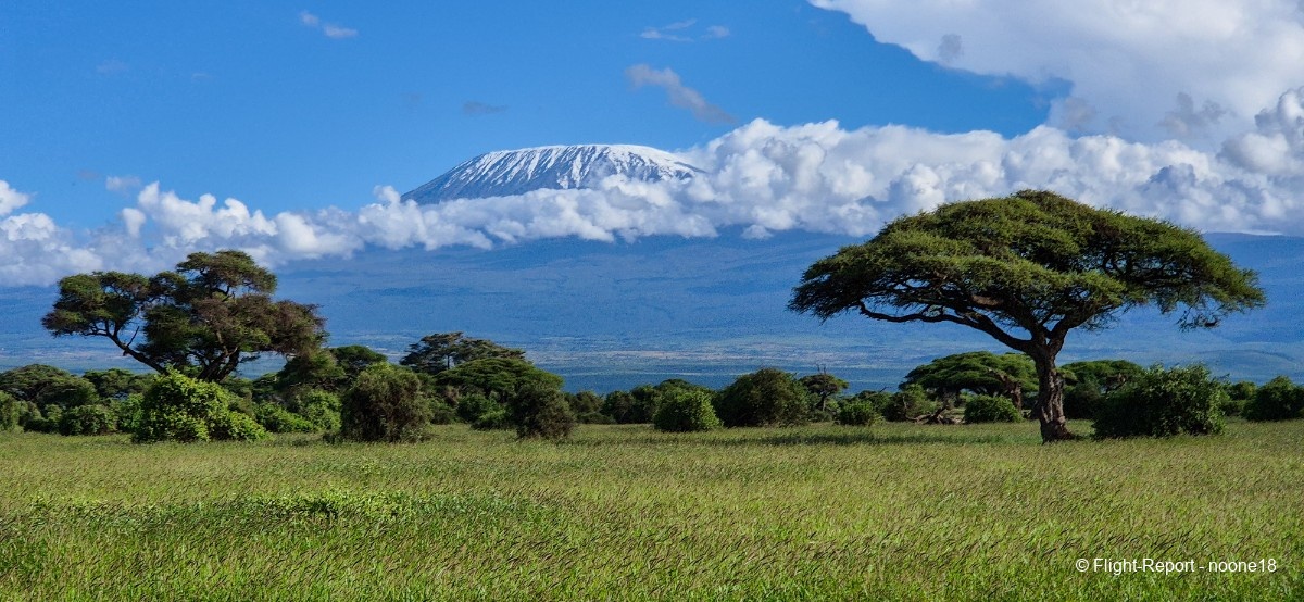 photo 20260326_164412-1