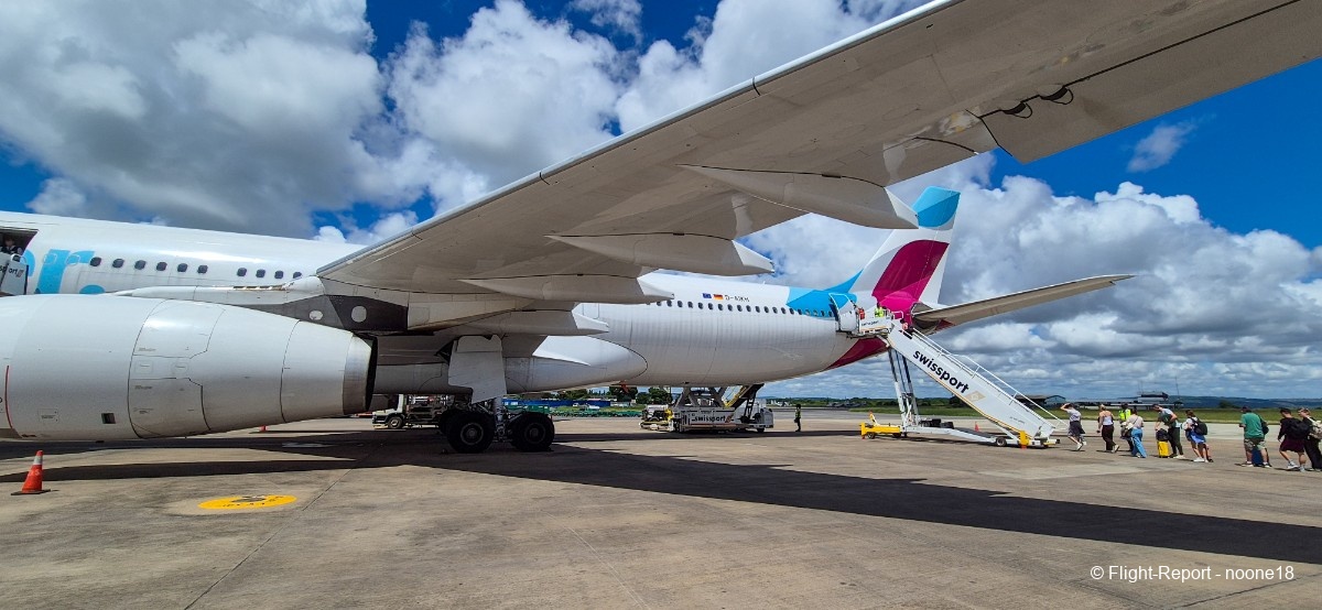 photo 20260329_105009-1