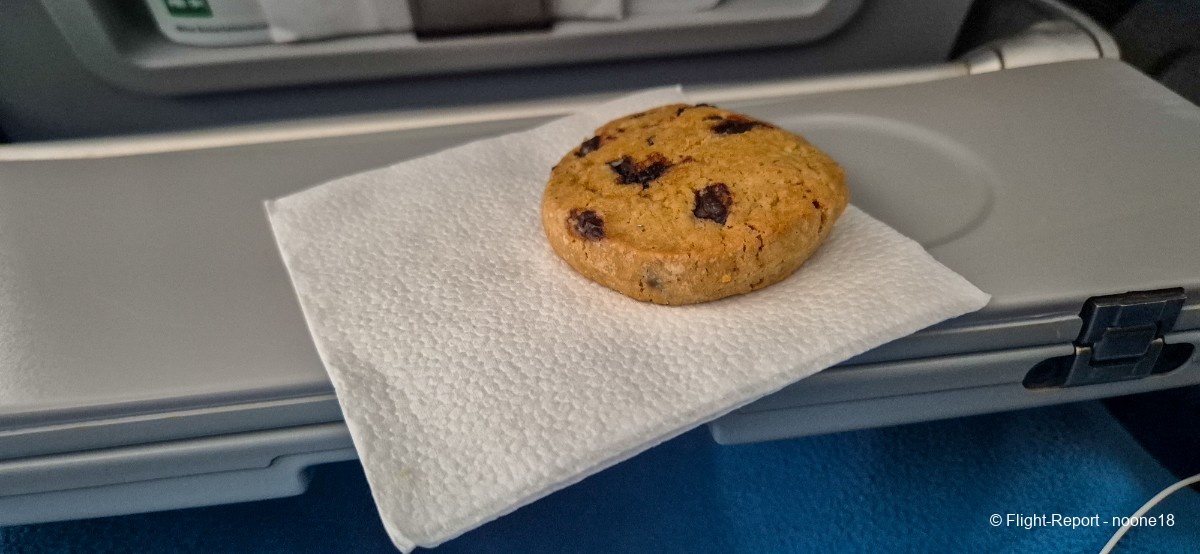 photo 20260329_135350-1