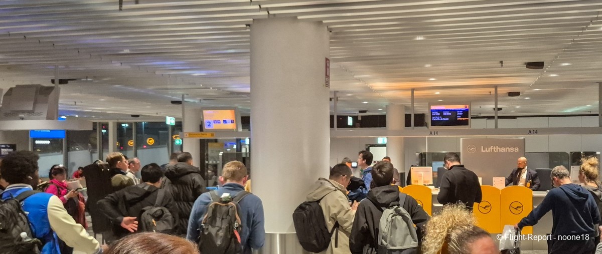 photo 20260329_203128-1