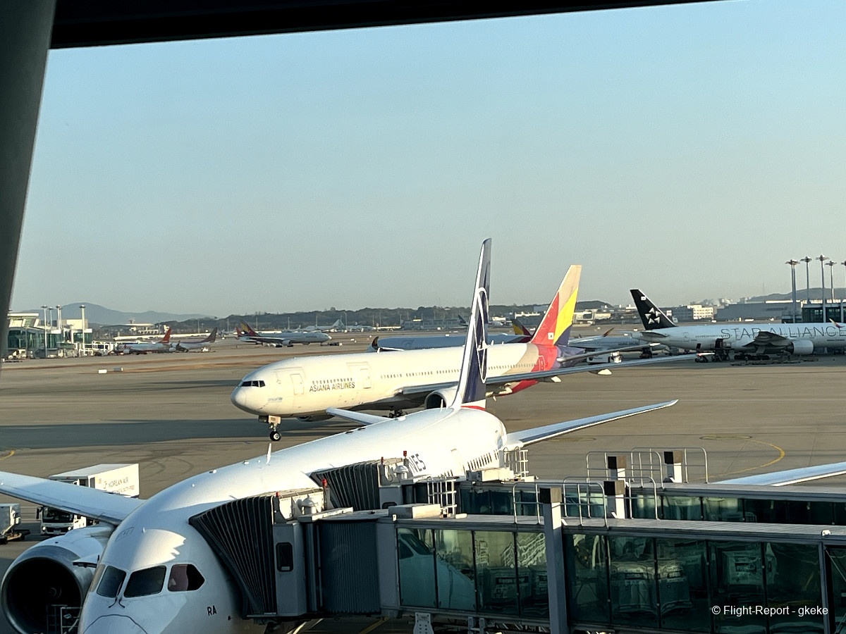 photo 169a5926-1183-4e77-82fc-84028b90ce4c