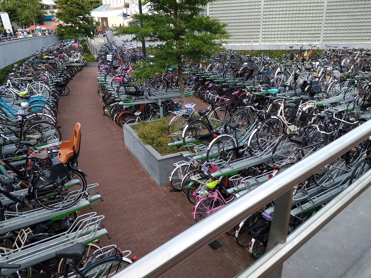photo 06-bikes