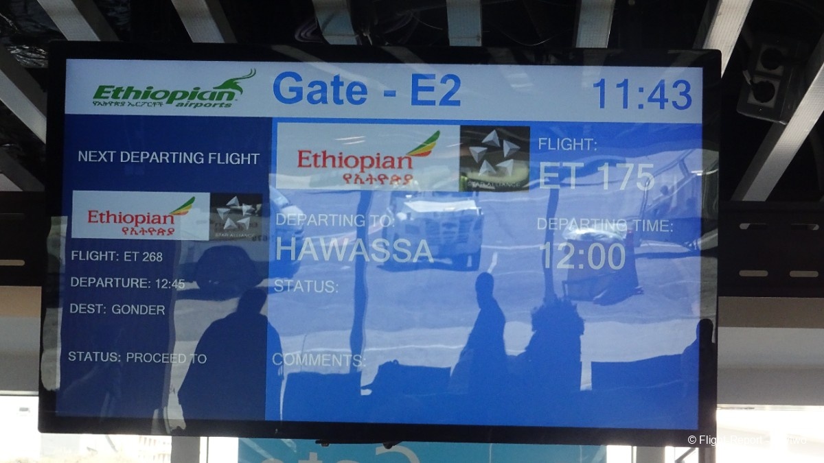 photo awa_24