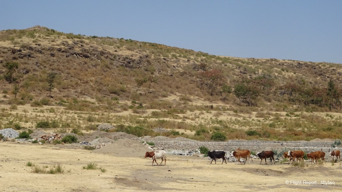 photo add_04