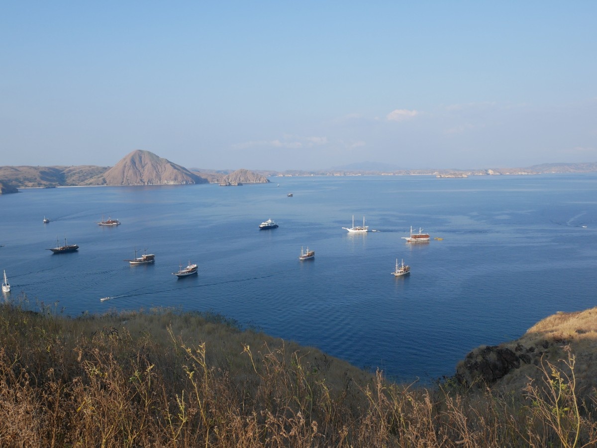 photo padar2