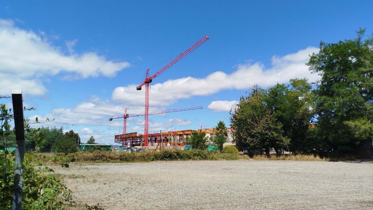 photo img_20260206_131847