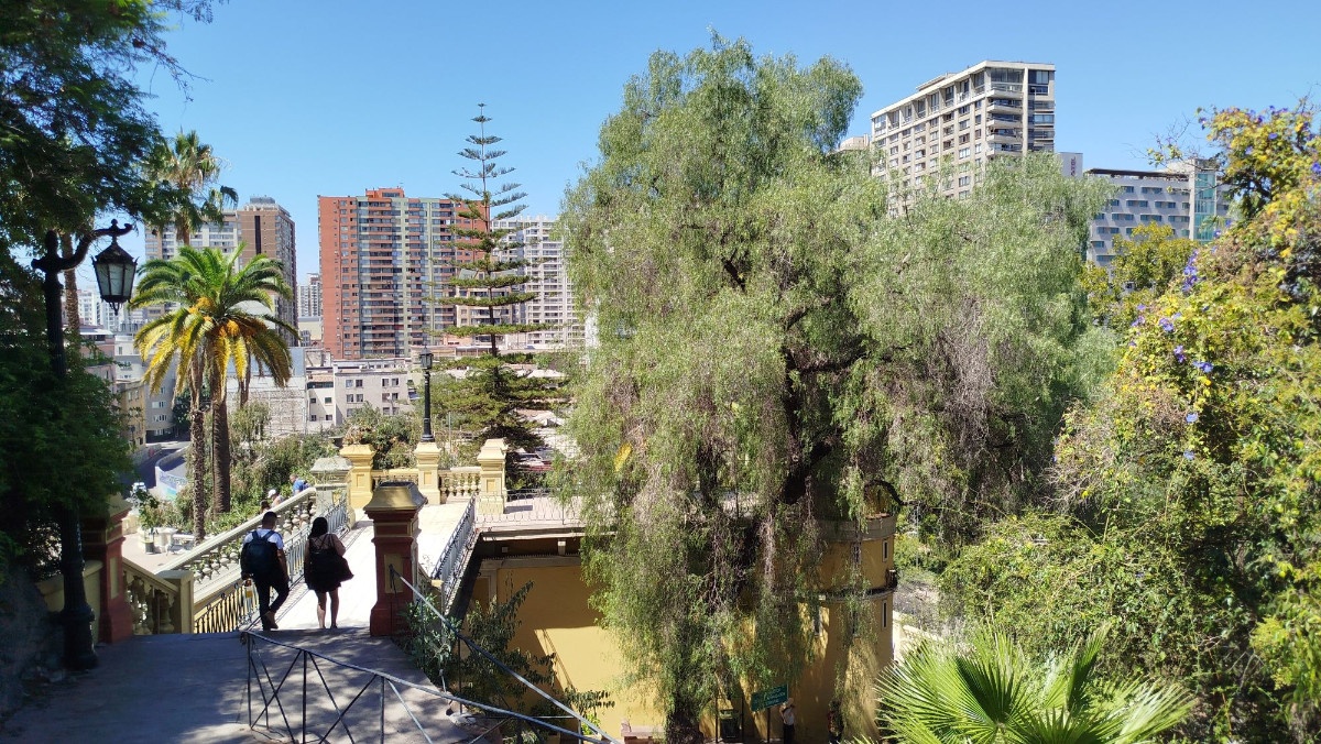 photo img_20260208_122313