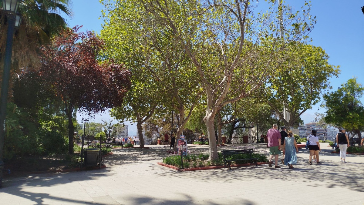 photo img_20260208_123737