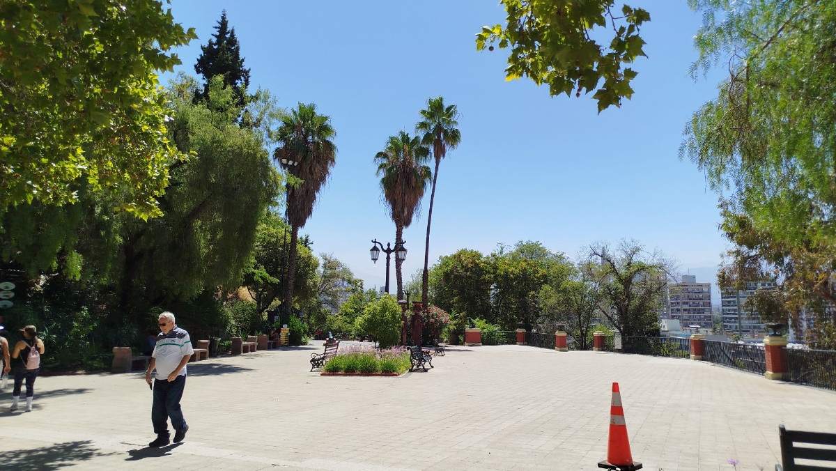 photo img_20260208_124401