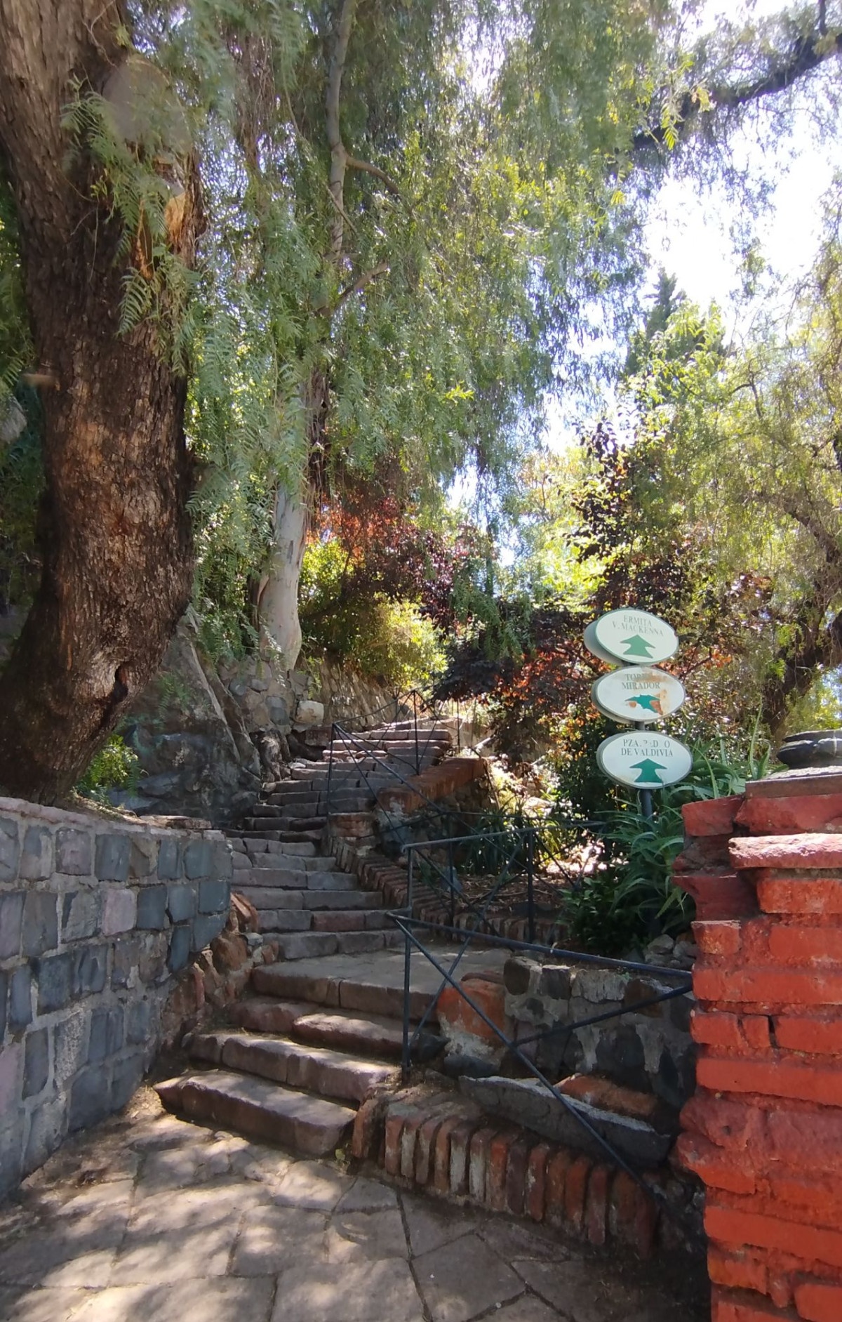 photo img_20260208_124518