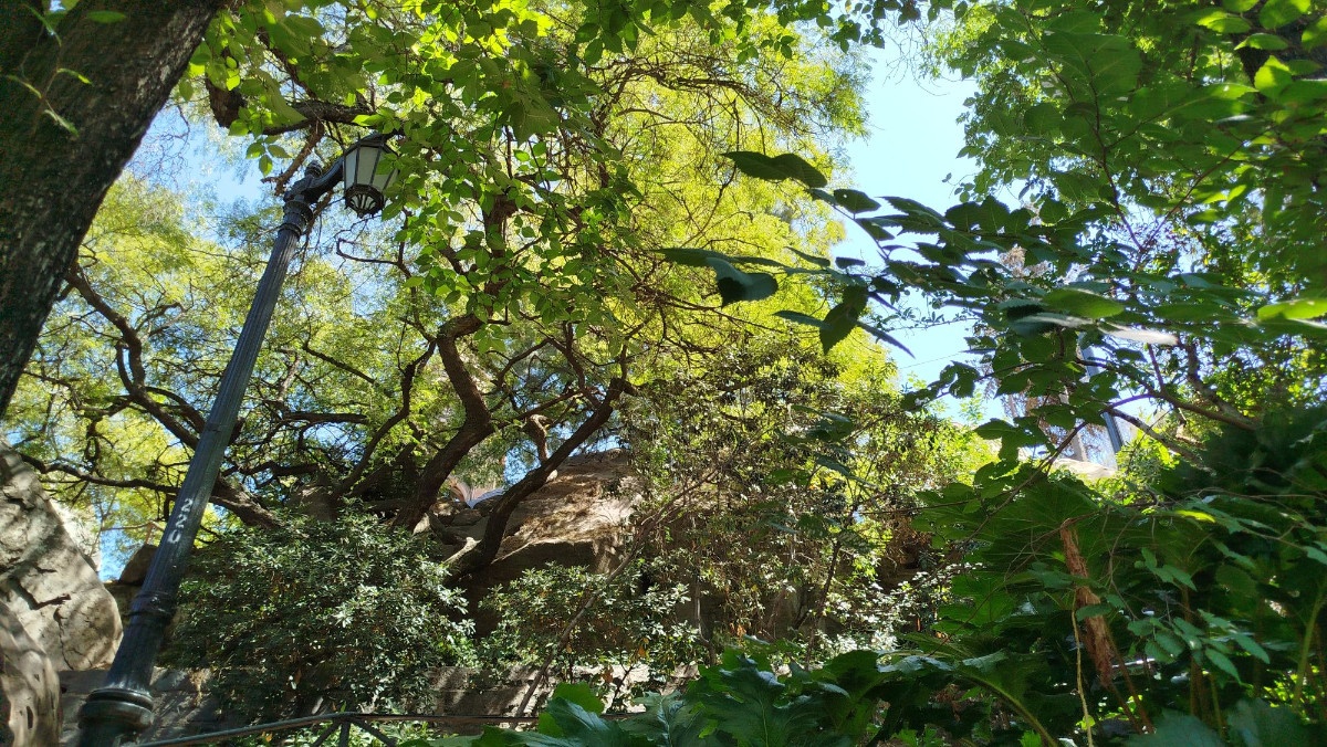 photo img_20260208_124811