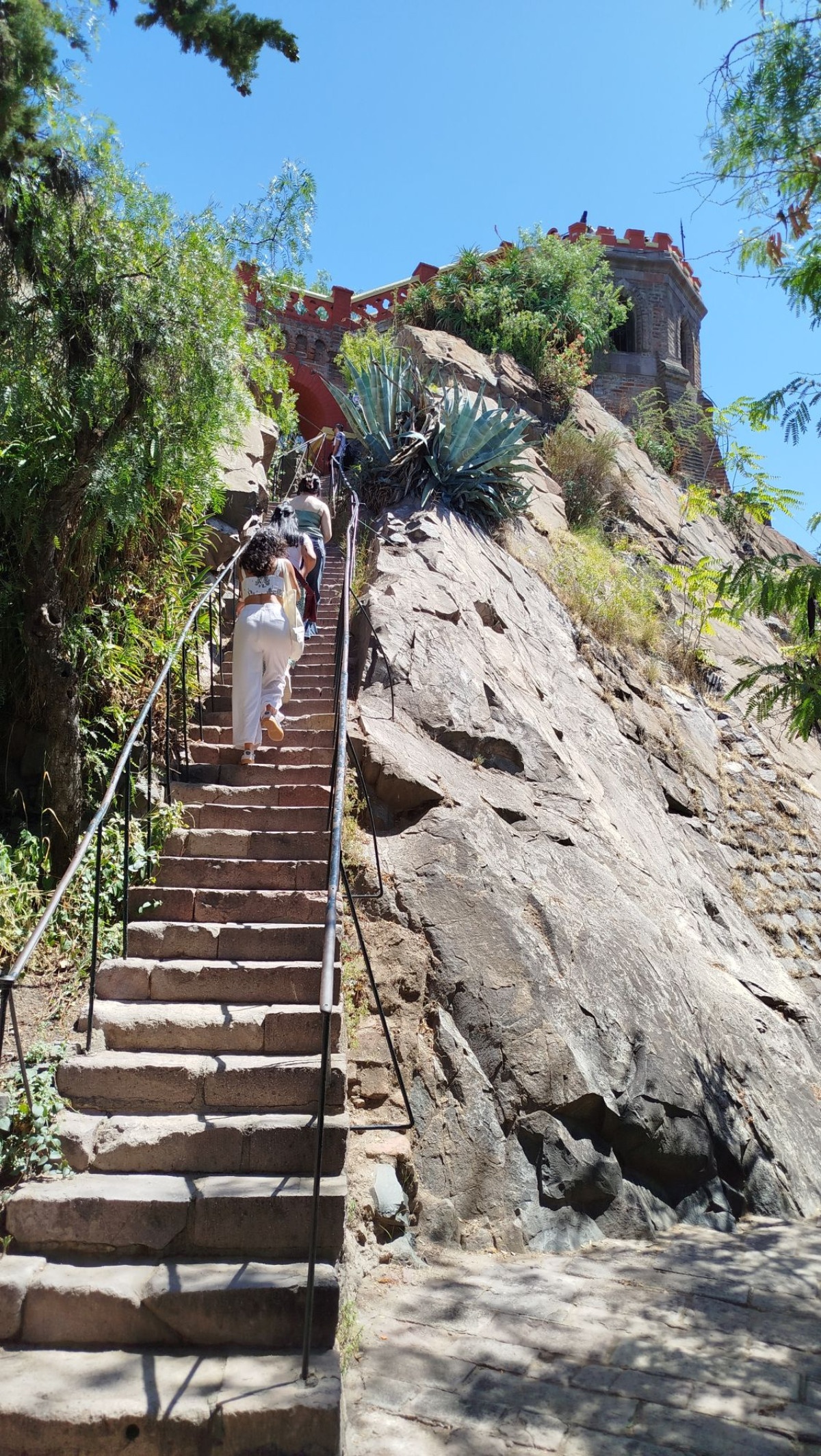 photo img_20260208_125012