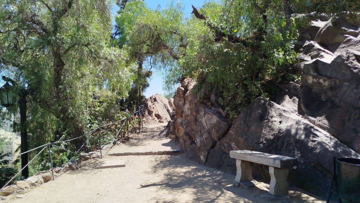 photo img_20260208_125202