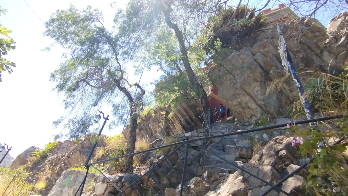 photo img_20260208_125333