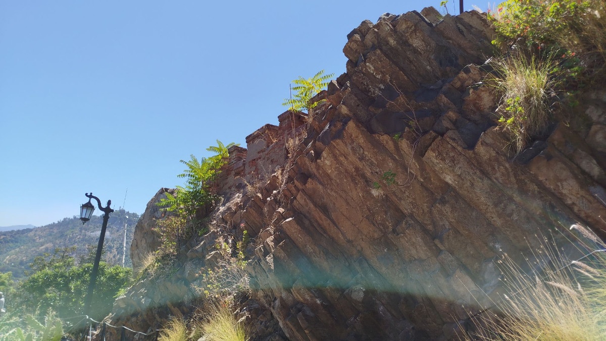 photo img_20260208_125425