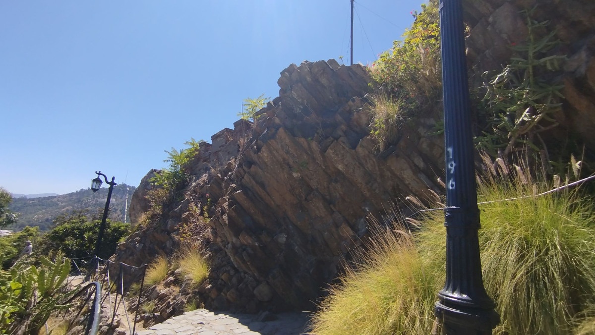 photo img_20260208_125431