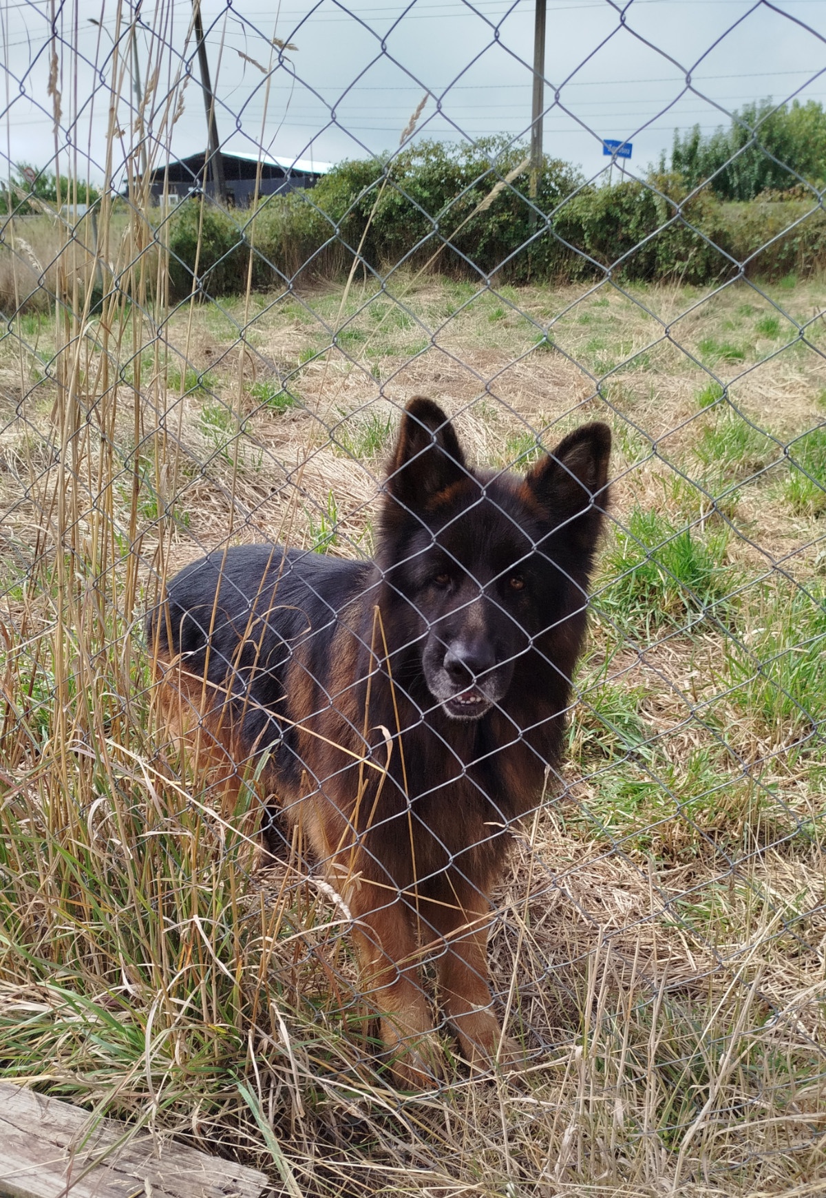 photo img_20260212_114239