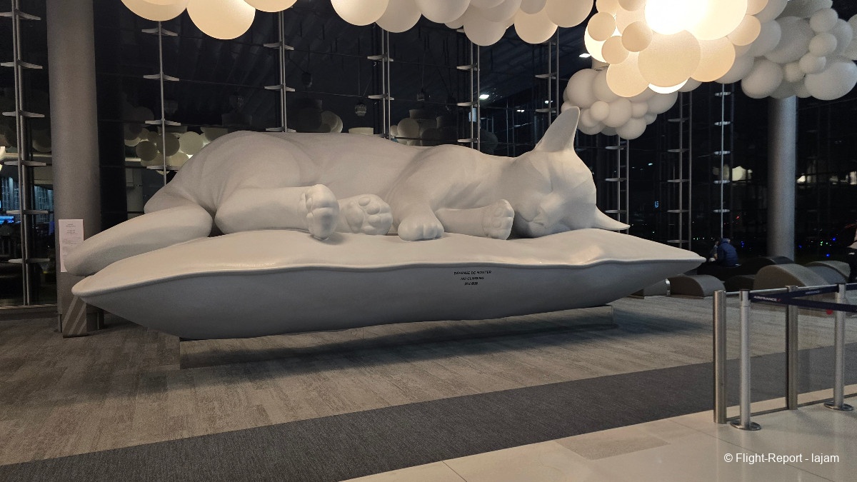 photo 20250702_225653