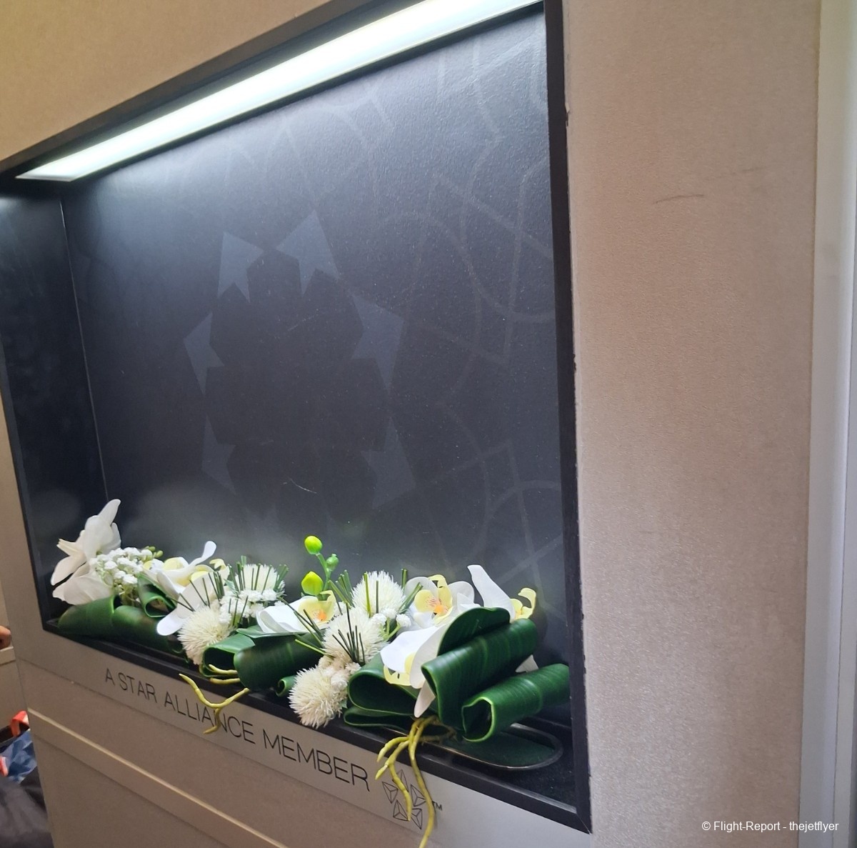 Turkish Airlines Istanbul → Manchester