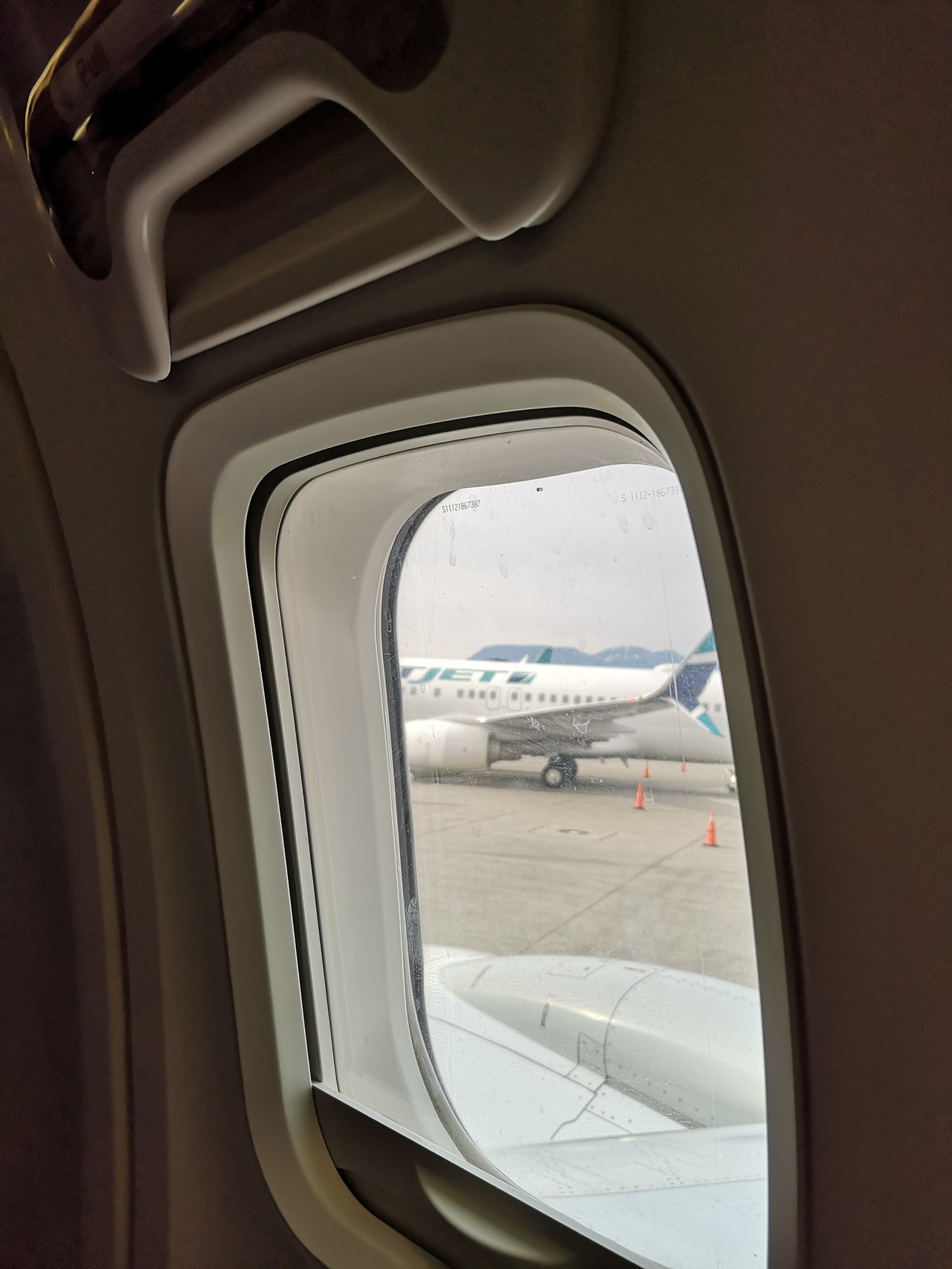 WestJet 737-800 Economy Class Trip Report 