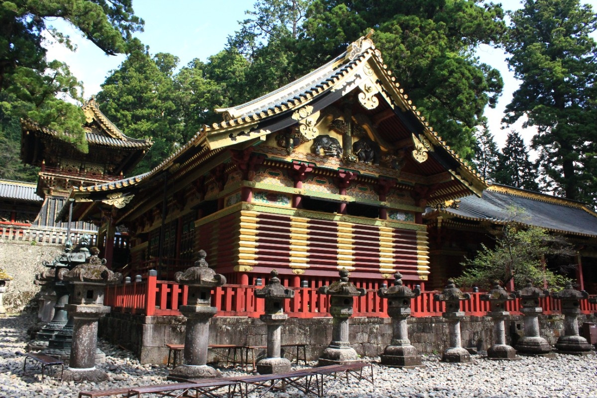 photo nikko-sanctuaire-tosho-gu-img_3631