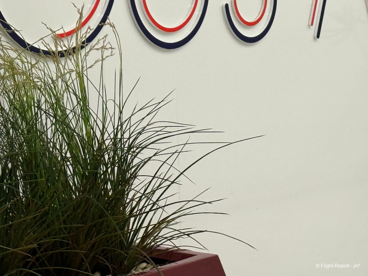 photo 20250906_105252_8610