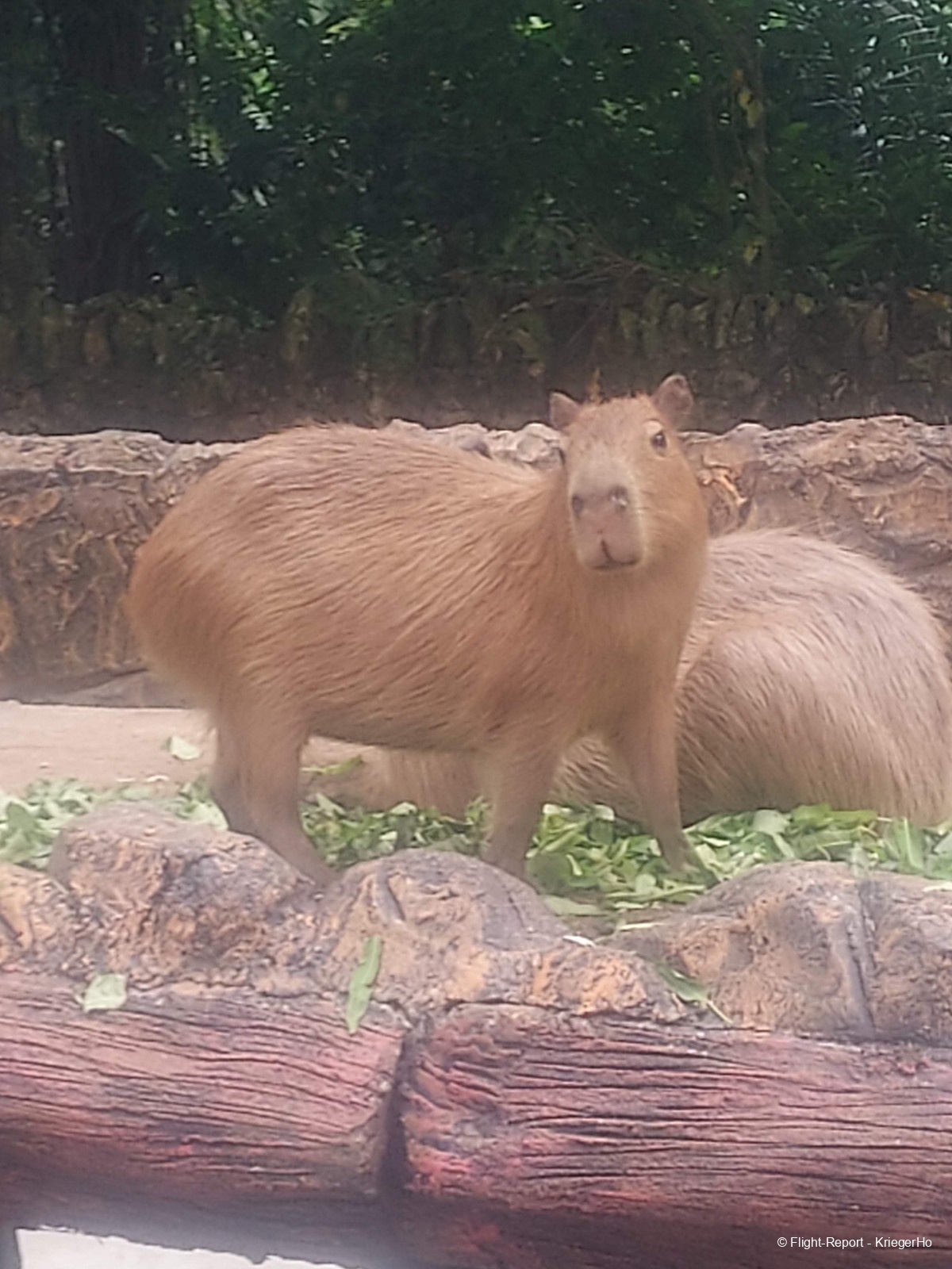 photo 20250725_153333