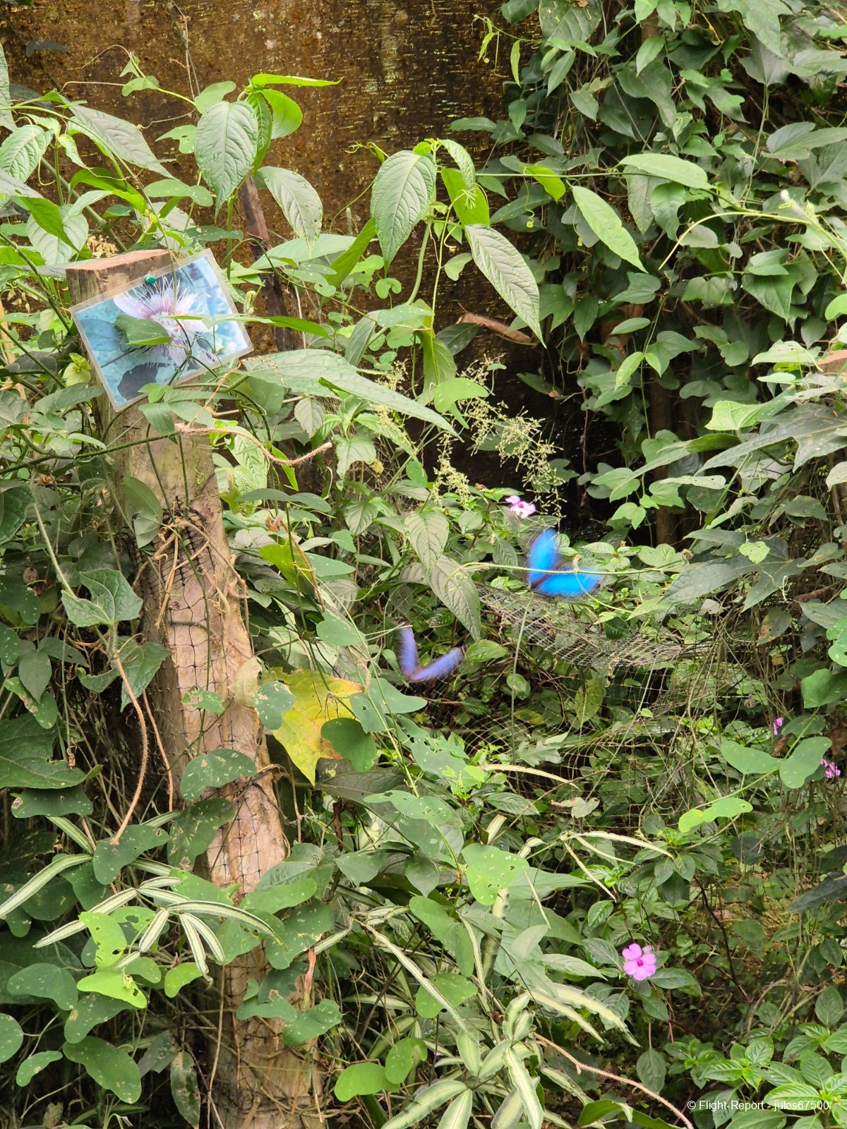 photo 20250221_130140