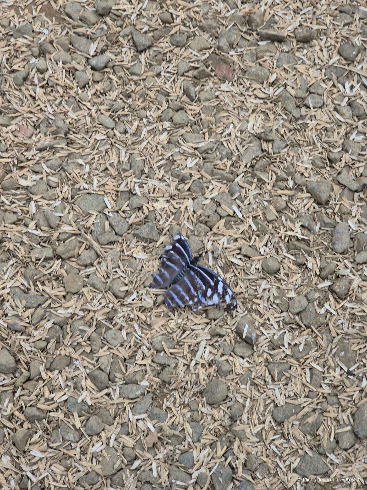 photo 20250221_1302560