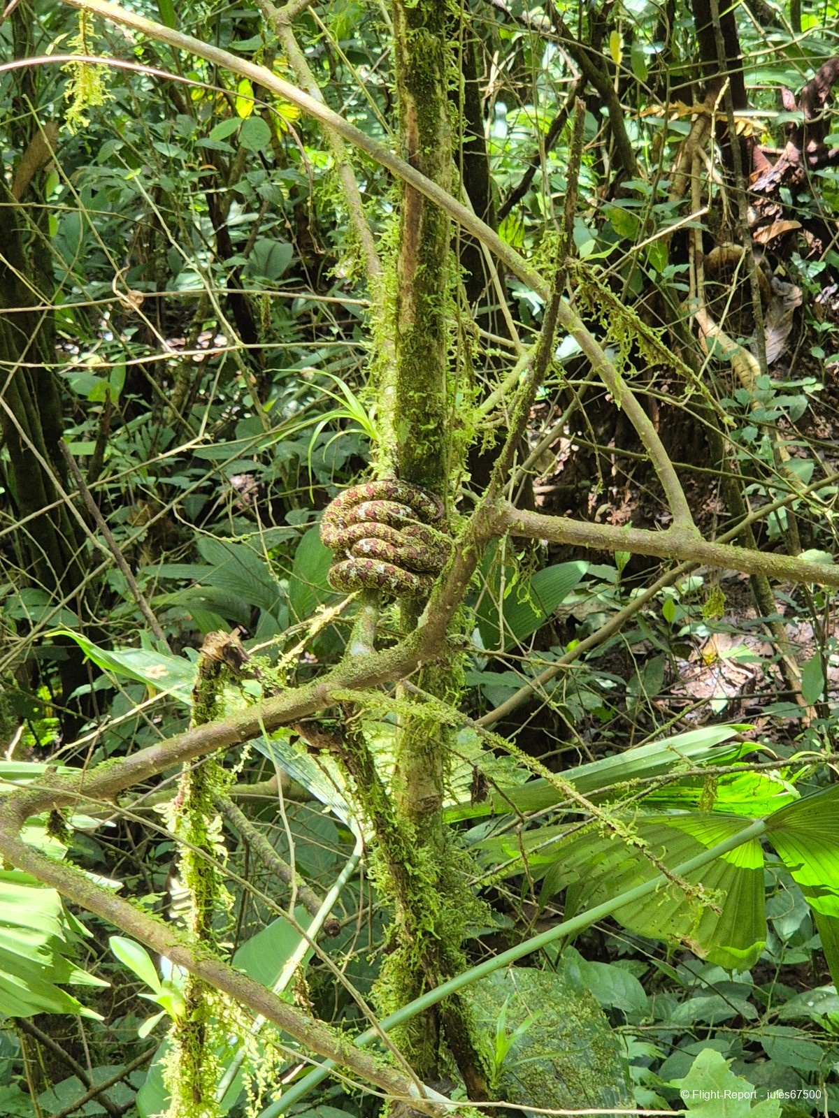 photo 20250223_111156
