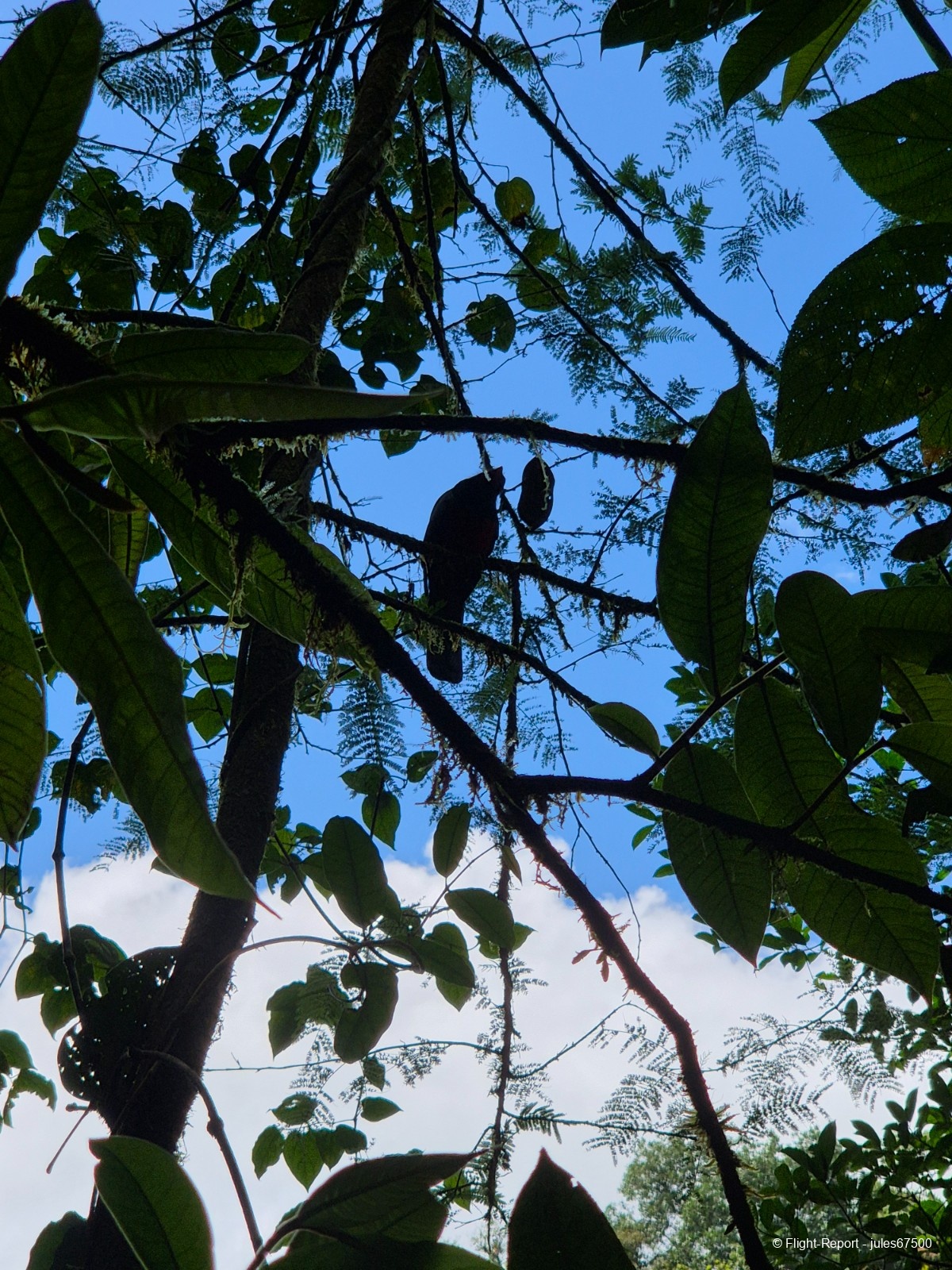 photo 20250223_113132